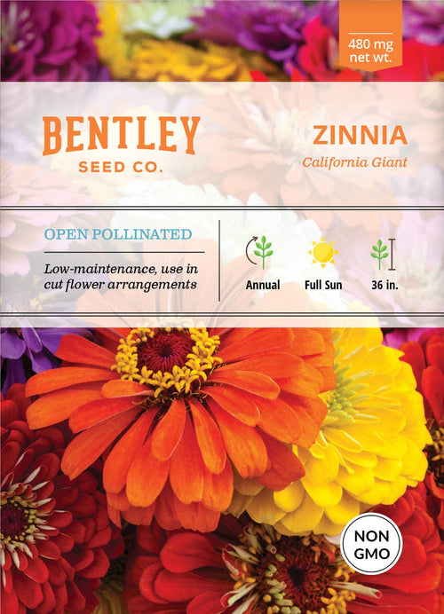 2219. Zinnia, California Giant Mixed Seed Packets