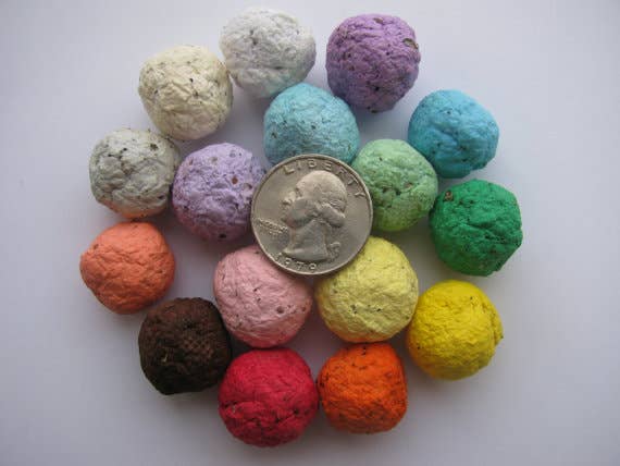 BULK Wildflower Seed Balls