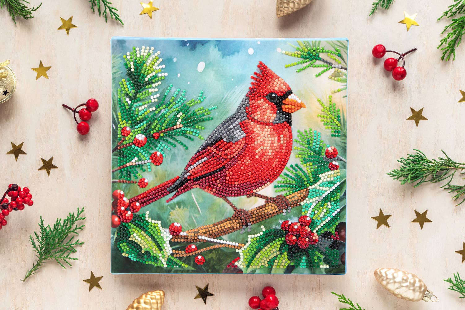 Dotz Box Cardinal and Holly