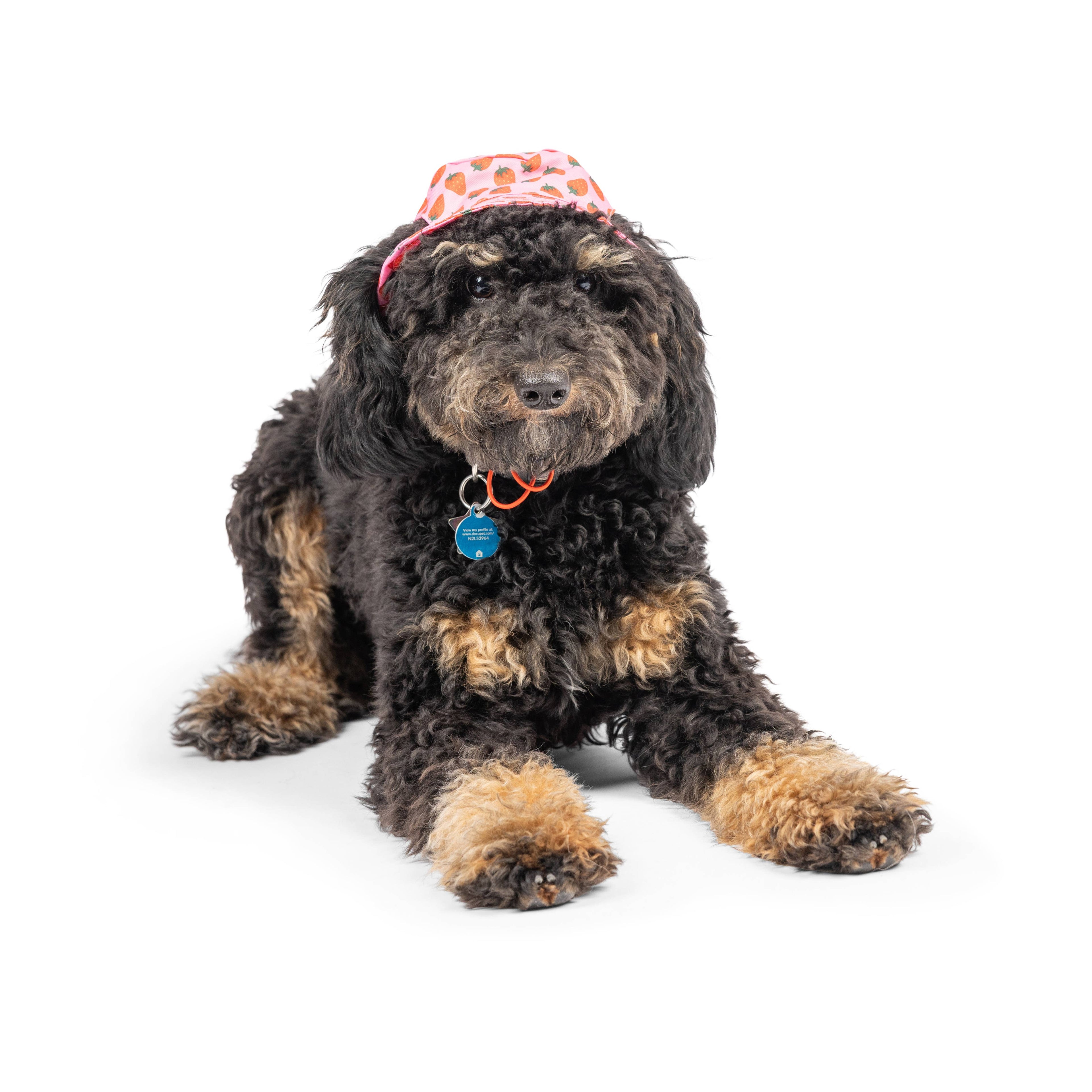 7509. Bucket Hats with SnugFit®