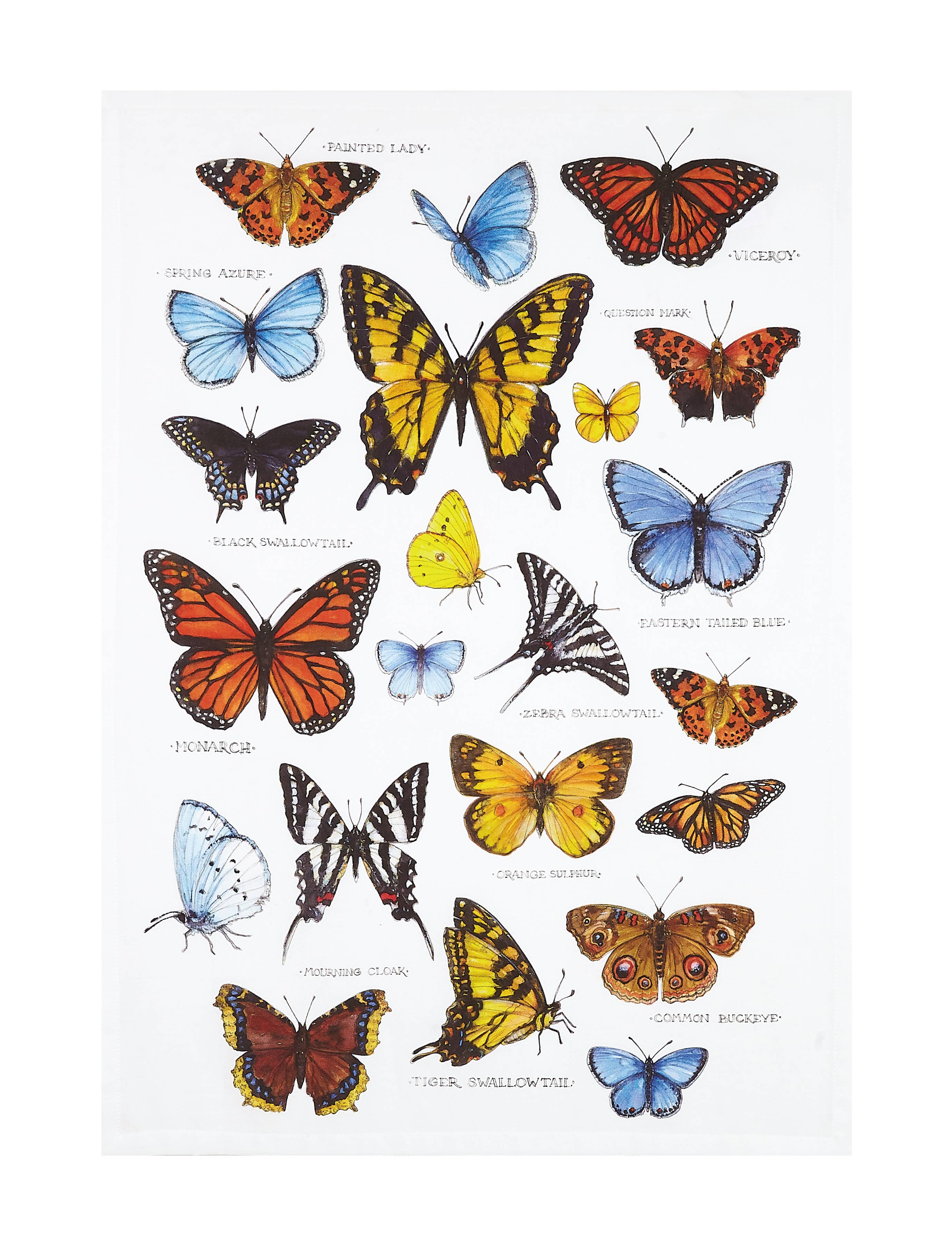 7655. Field Guide Butterflies Printed Kitchen Towel - Sally Eckman Roberts