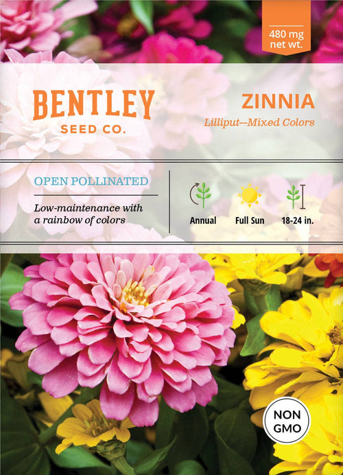 2221. Zinnia, Lilliput Seed Packets