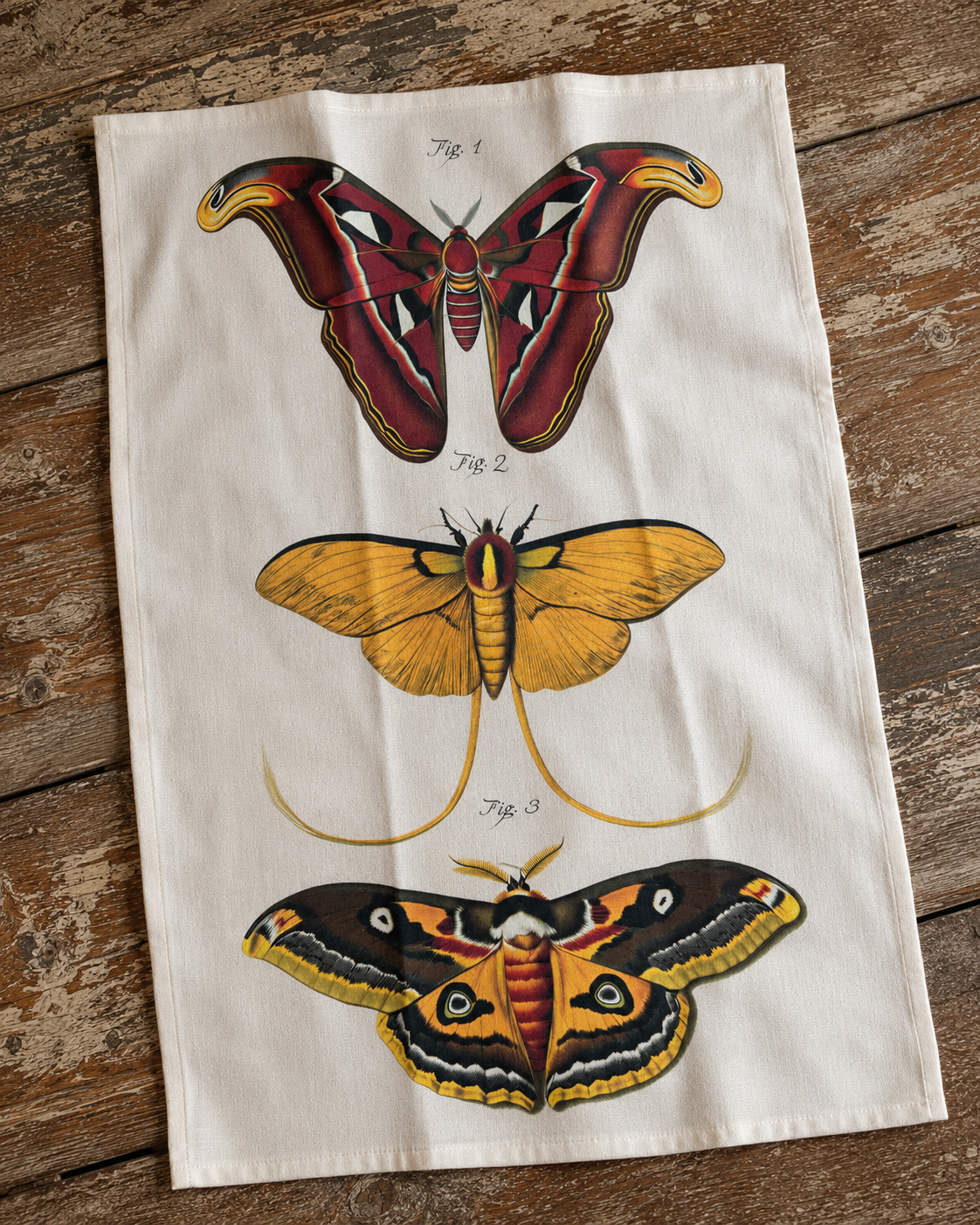 SLT112 - Tea Towel Vintage Moth