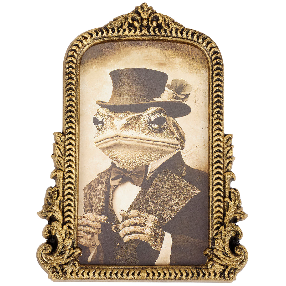 Frog Gent Framed Wall Art