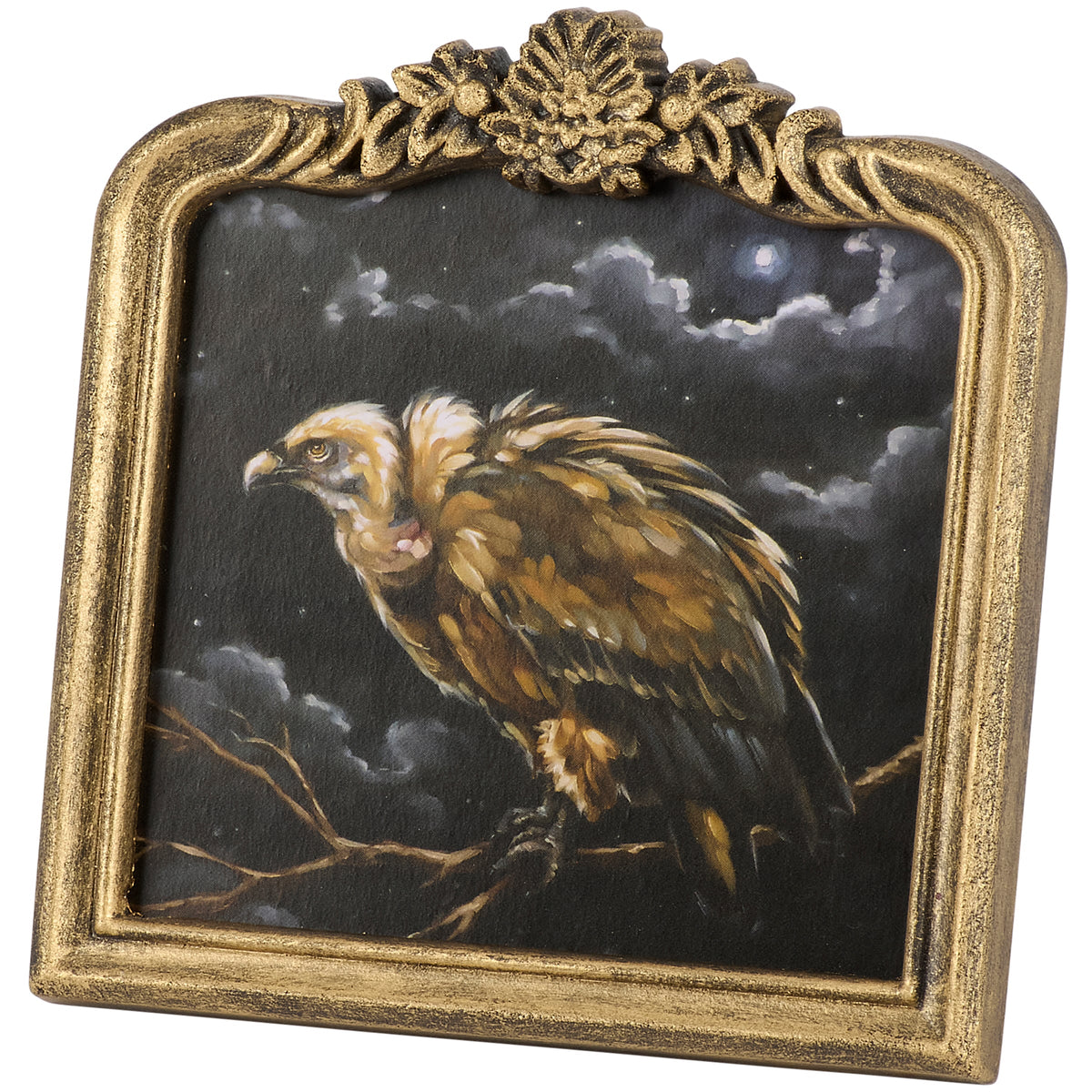 Night Vulture Framed Art