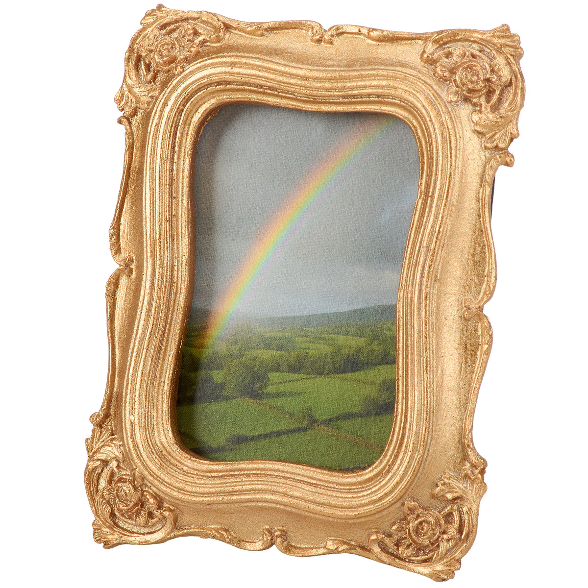 Rainbow Fields Framed Art